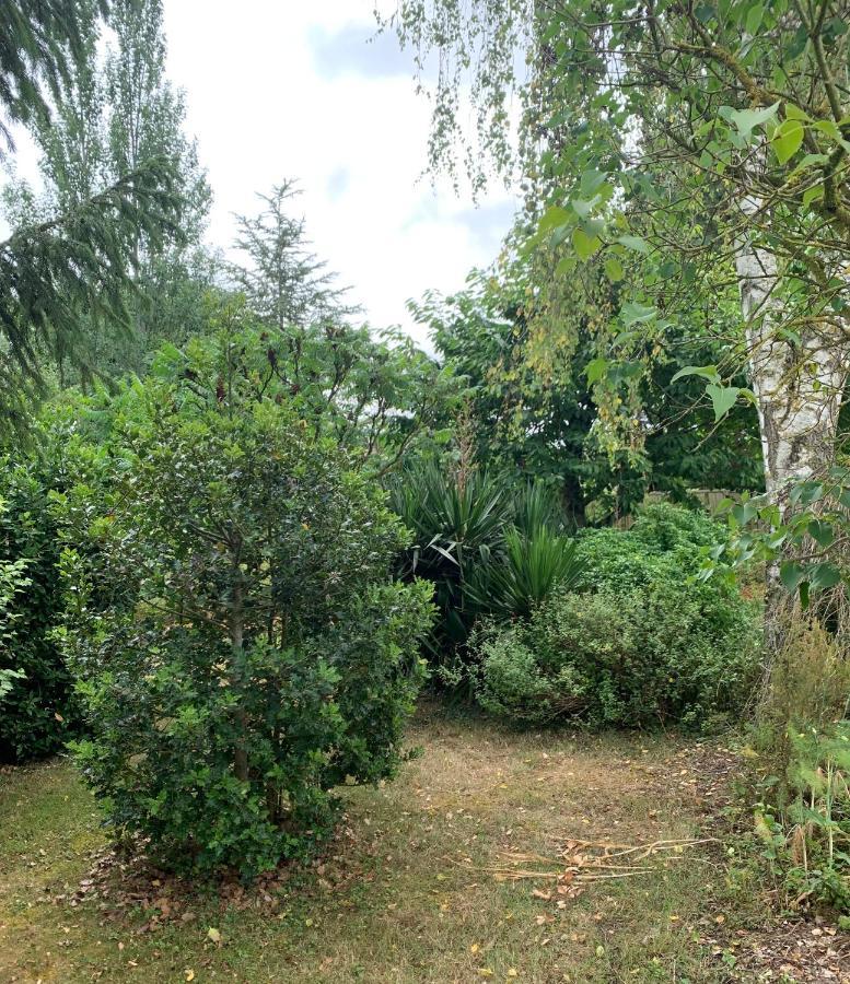 Maison D'Hotes La Chabanaise - Marais Poitevin Cramchaban Экстерьер фото